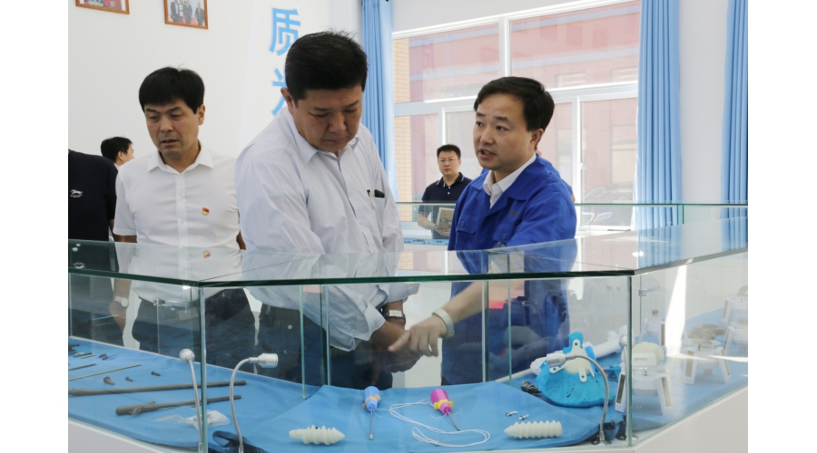 平谷區領導視察
